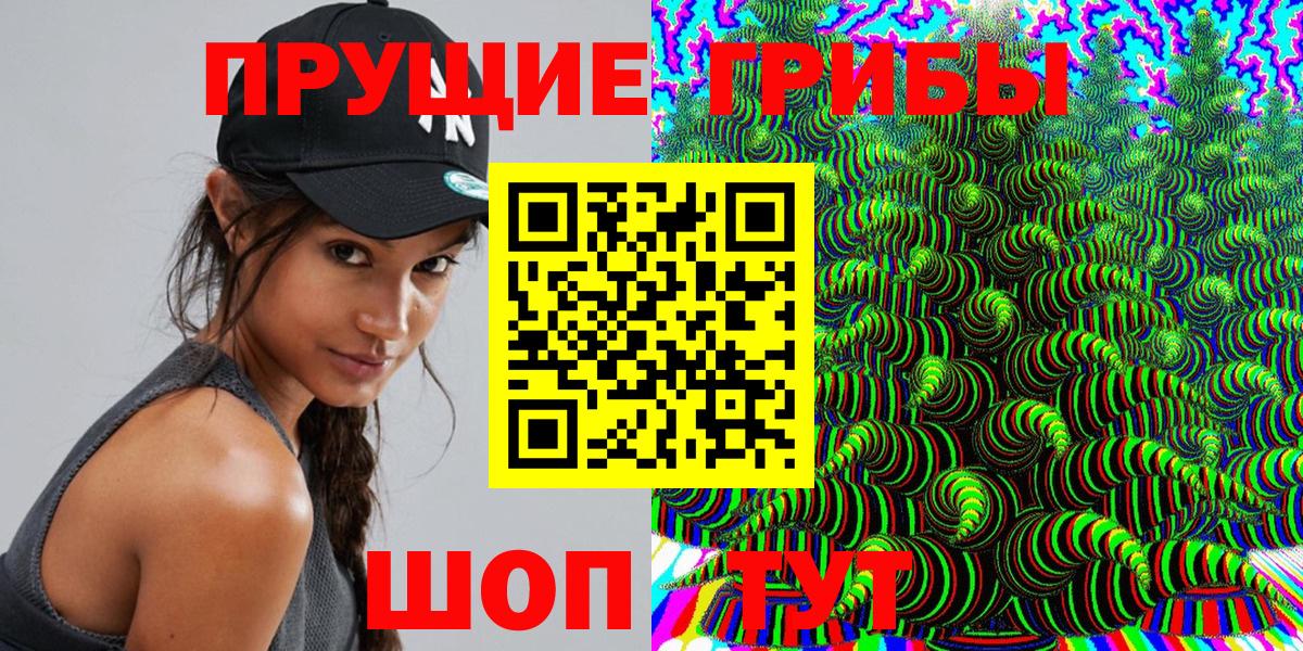 Псилоцибиновые грибы Psilocybe Ливны