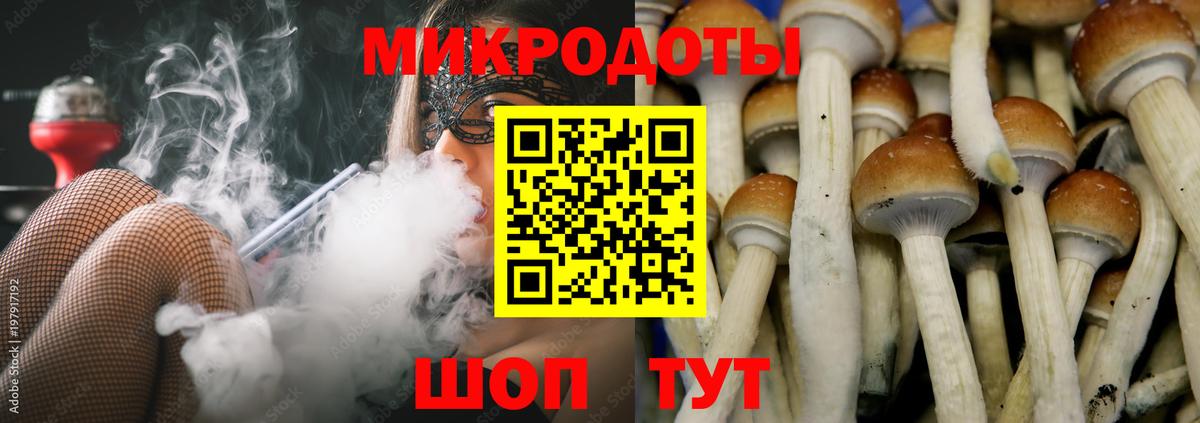 Галлюциногенные грибы ЛСД  Вход с VPN  Ливны 